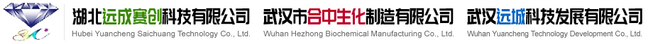 Hubei Yuancheng Saichuang Technology Co., Ltd.